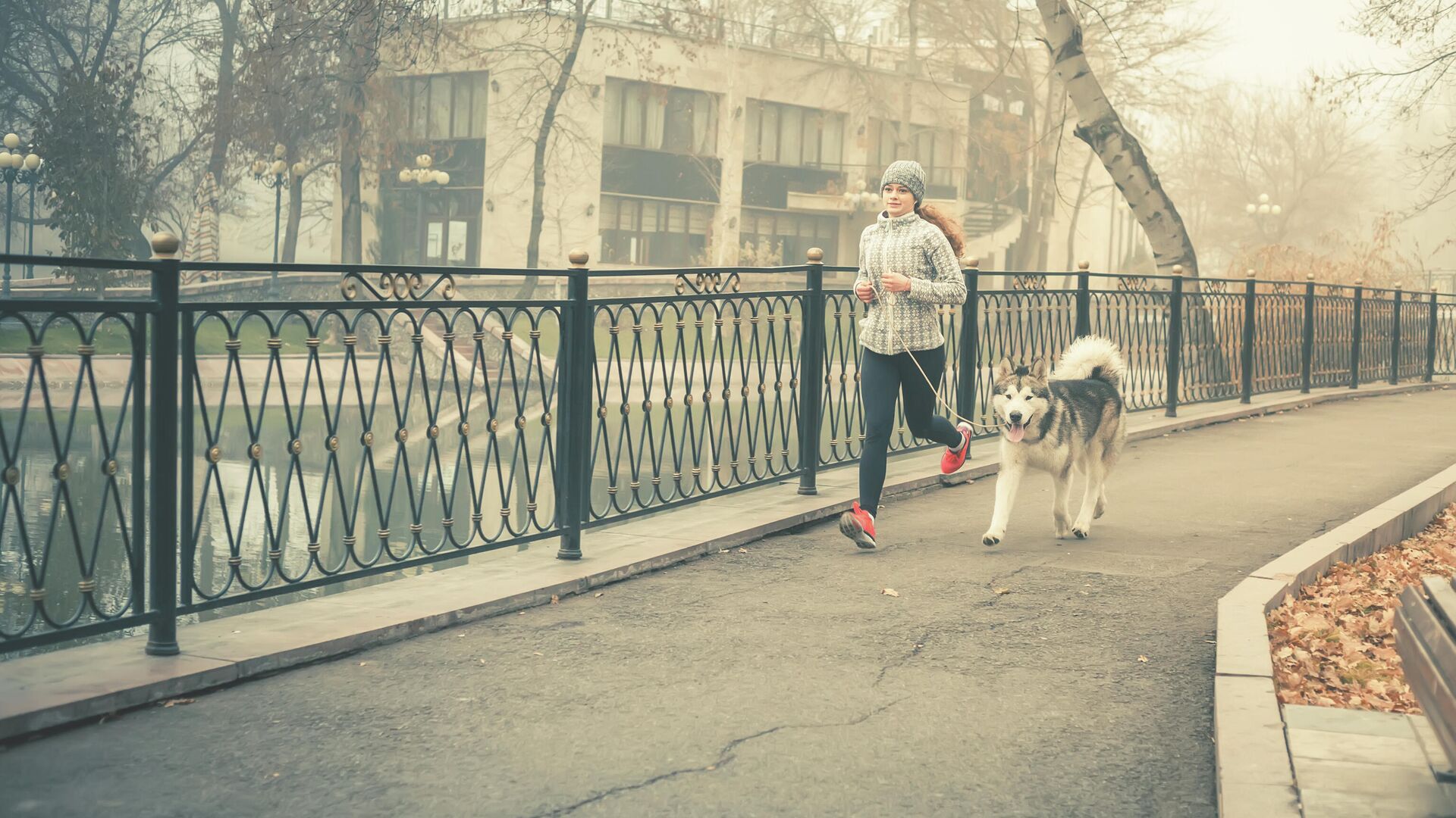 Девушка во время пробежки с собакой породы аляскинский маламут - РИА Новости, 1920, 01.10.2021